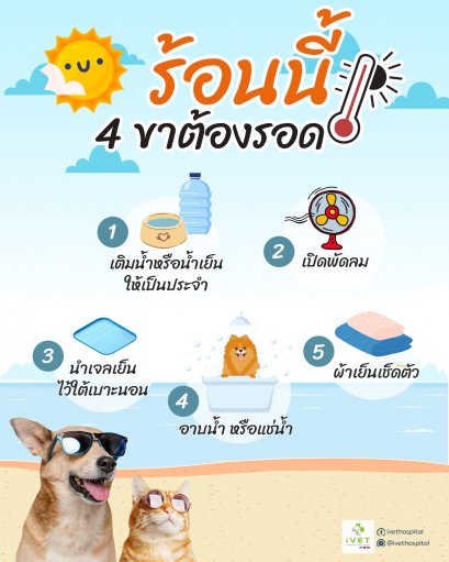 ร้อนนี้สี่ขาต้องรอด